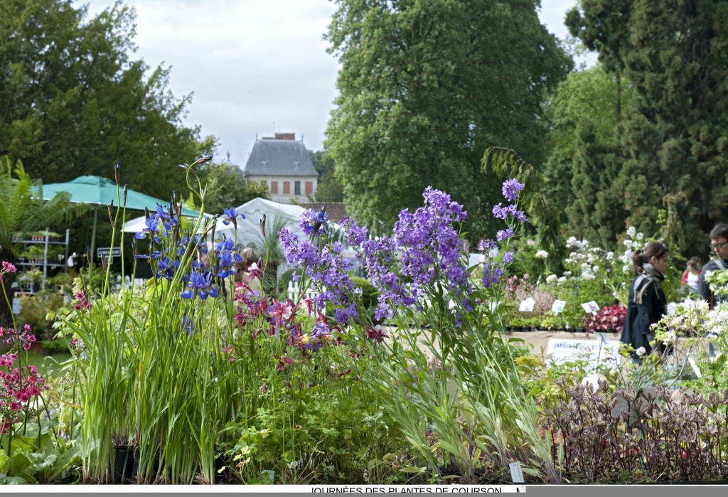 Les Journées des Plantes au Domaine de Courson 2013 - Tatousenti