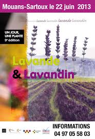 Lavande & Lavandin dans les jardins du MIP