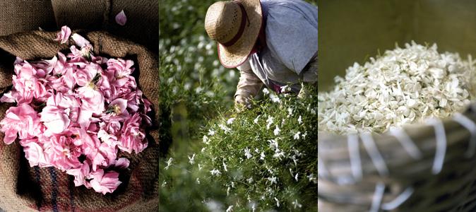 Territoire d’exception, le pays Grassois