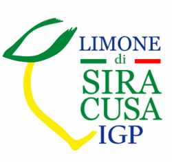 Le citron italien, un symbole du Made in Italy