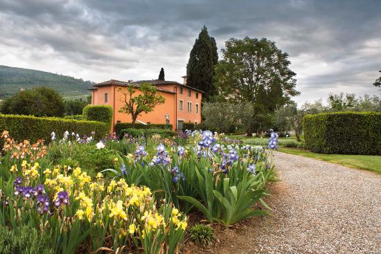 L’Iris de Florence, de Santa Maria Novella pour Villa la Massa