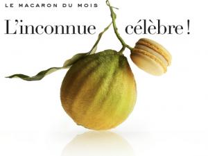 La bergamote, le dernier macaron Pierre Marcolini