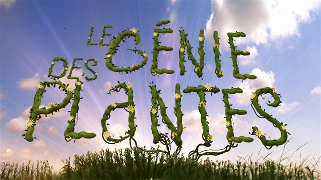 Le génie des plantes, doc sur Arte+7