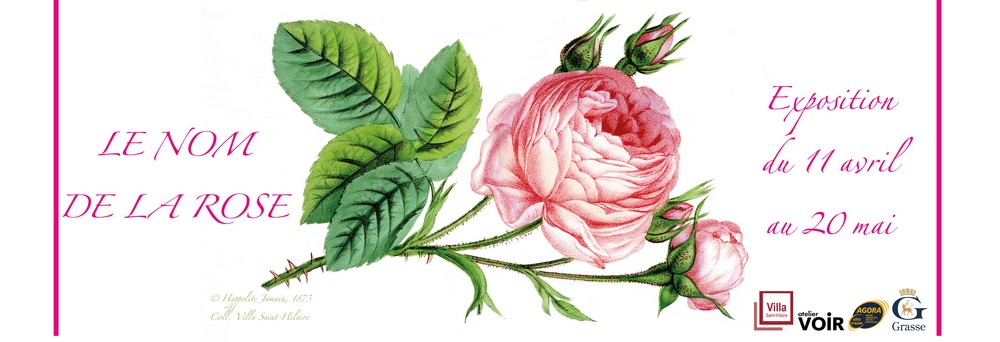 Une exposition dédiée à la Rose à la Bibliothèque St-Hilaire