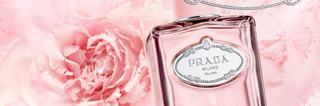 Infusion de rose de Prada