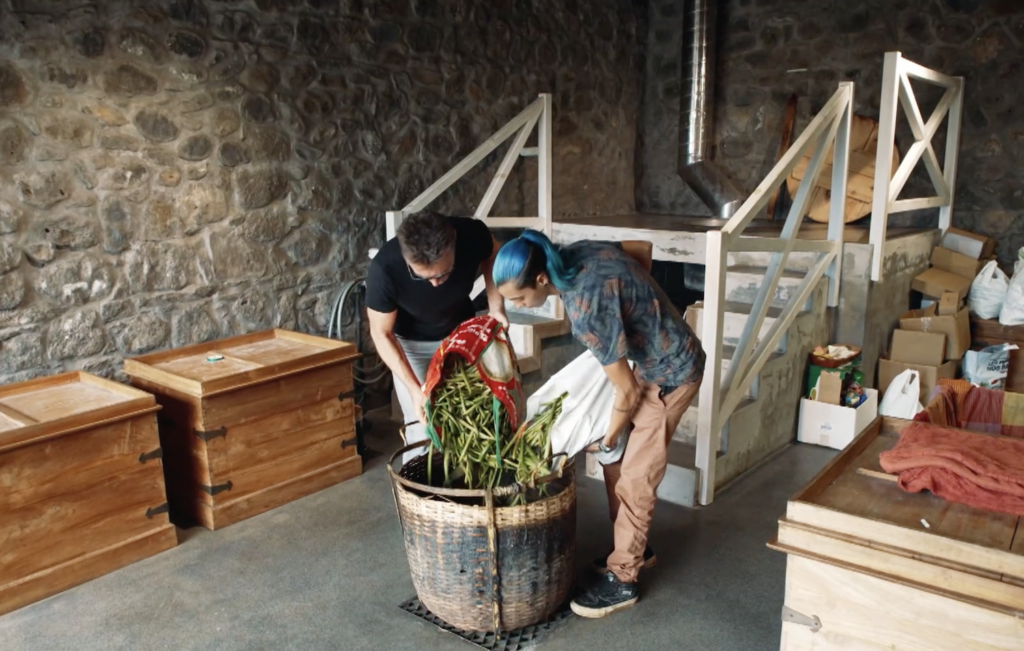 la vanille l'or noir