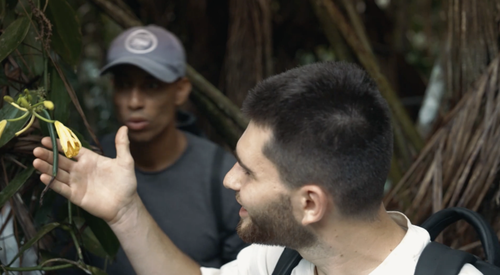 la vanille l'or noir